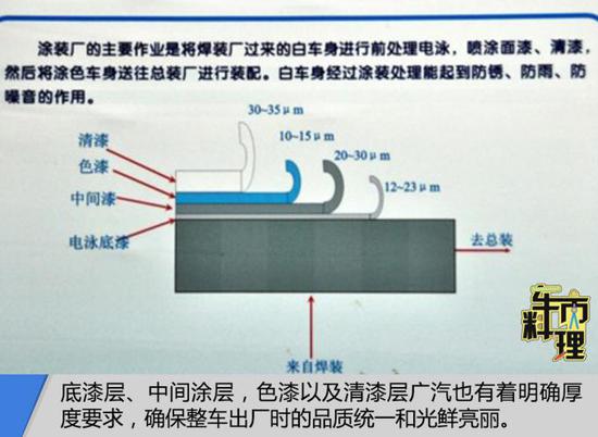 保护森林，共享绿色未来